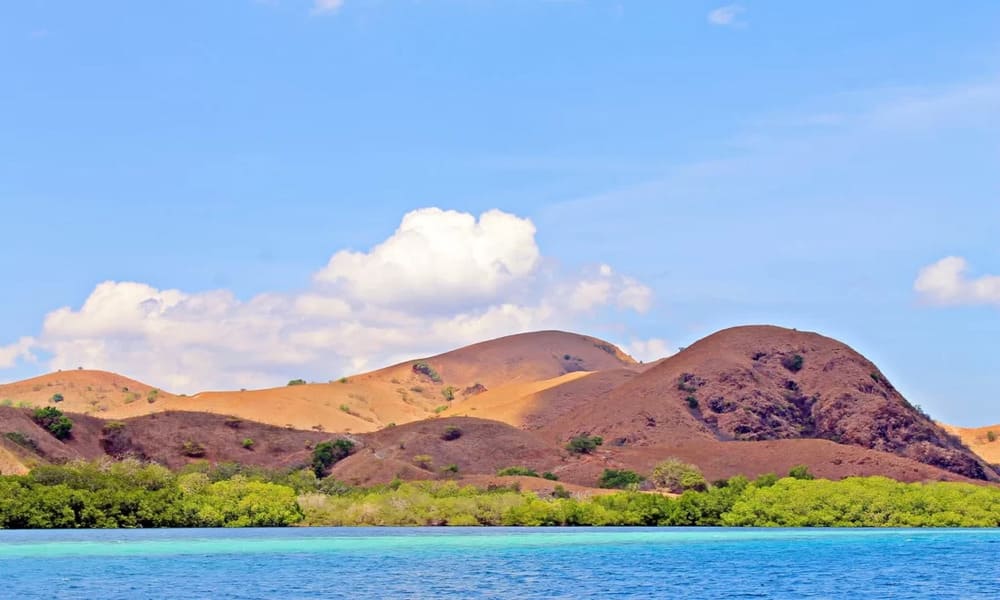 Pulau Rinca Keindahan Alam Dan Kehidupan Satwa Di Indonesia